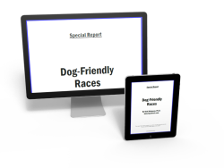 Dog-Friendly Races