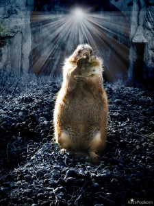 Groundhog Day