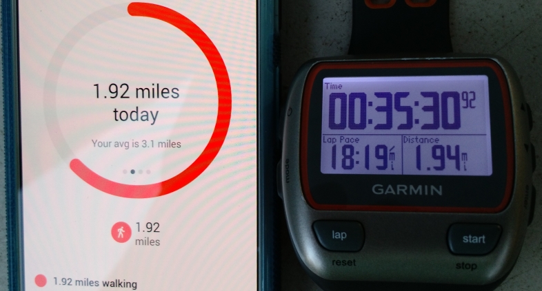 Distance on Google Fit vs. Garmin 310XT