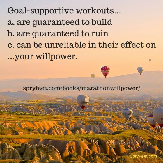 Goal-supportive workouts...
