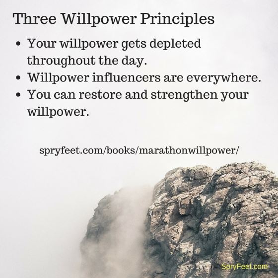 Three Willpower Principles